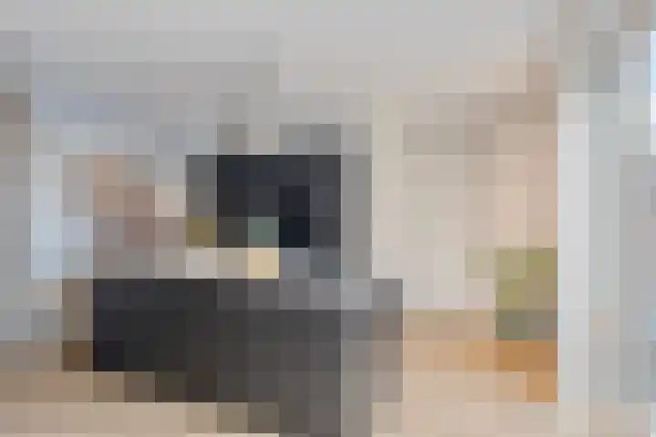 Schrappaardje 24 Best thumbnail 10