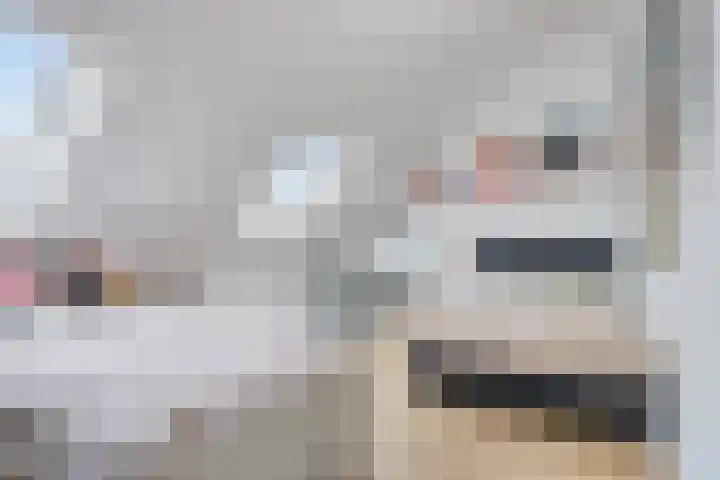 Schrappaardje 24 Best thumbnail 24