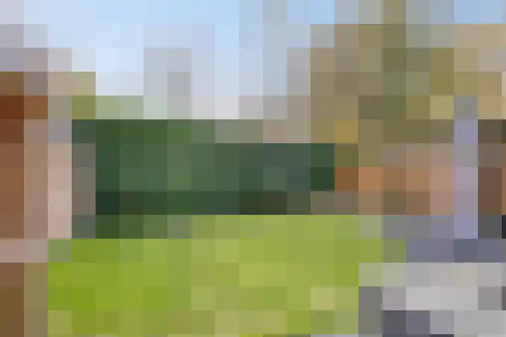 Schrappaardje 24 Best thumbnail 27