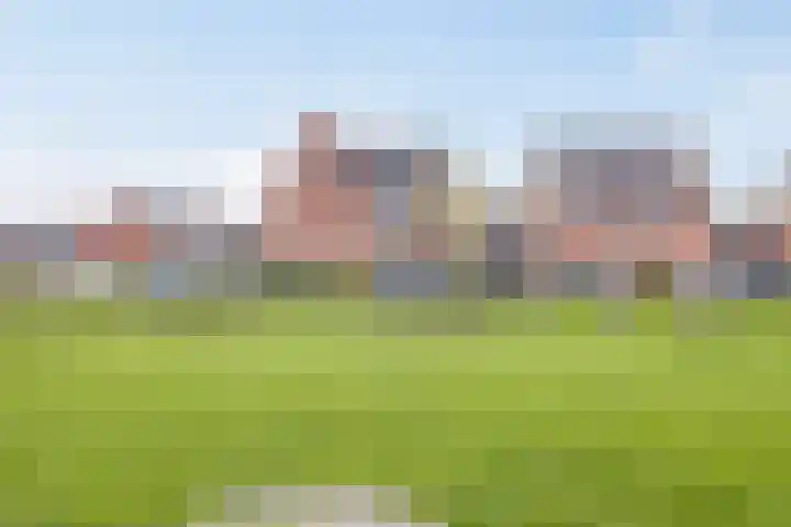 Schrappaardje 24 Best thumbnail 32