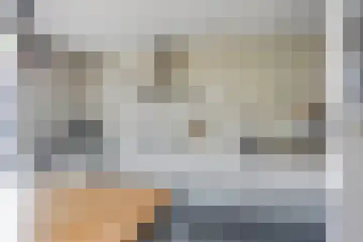 Schras 13 Ederveen thumbnail 13