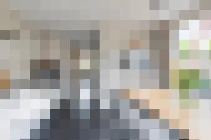 Schras 13 Ederveen thumbnail 14