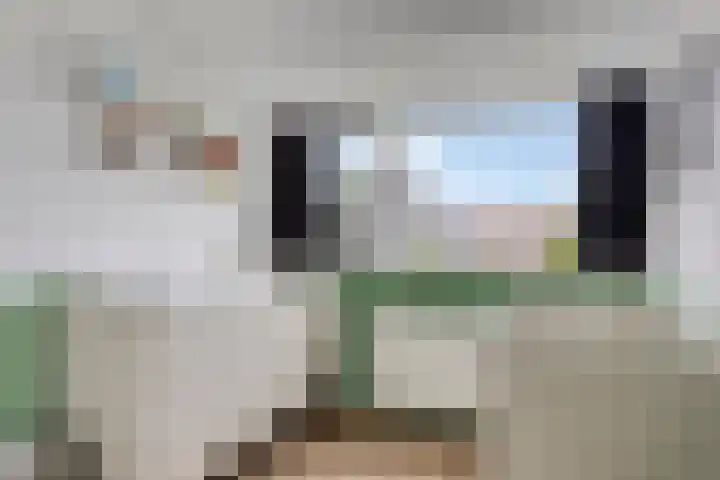 Schras 13 Ederveen thumbnail 26