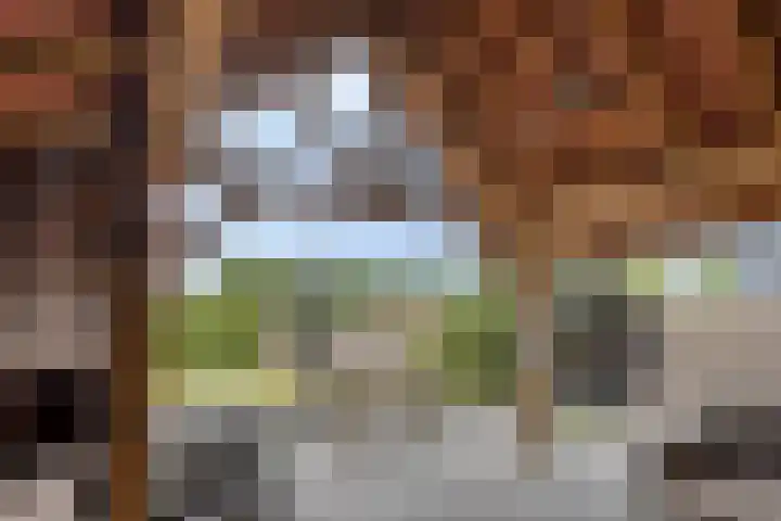 Schras 13 Ederveen thumbnail 33