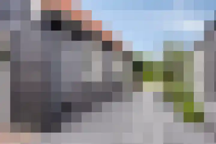 Schras 13 Ederveen thumbnail 35