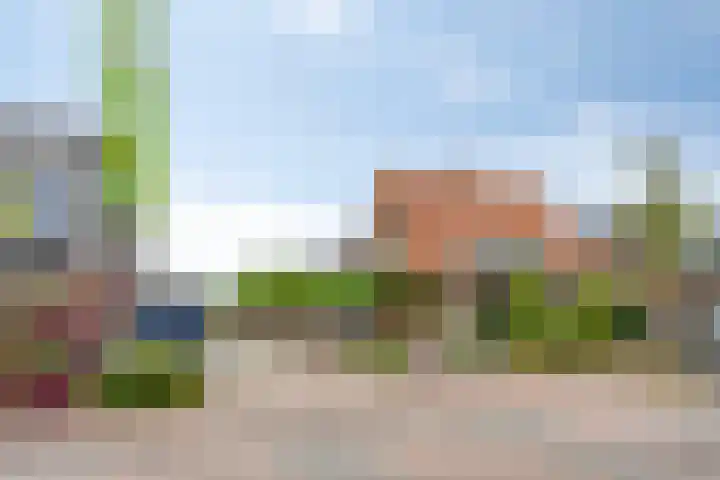 Schras 13 Ederveen thumbnail 39