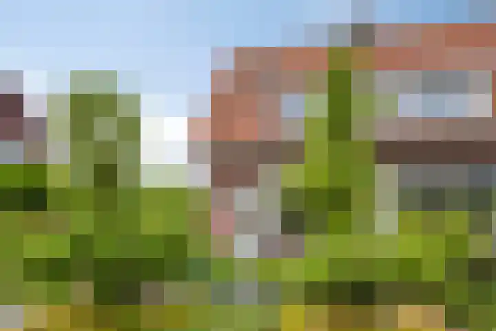 Schras 13 Ederveen thumbnail 40
