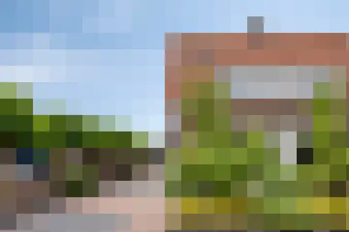 Schras 13 Ederveen thumbnail 5