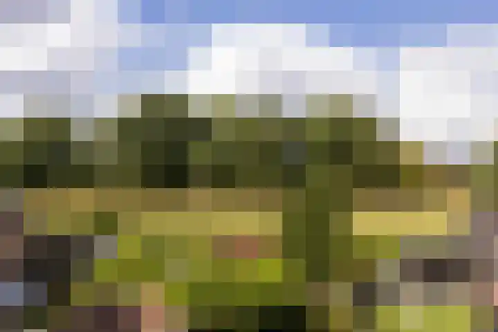 Schras 24 A Ederveen thumbnail 35