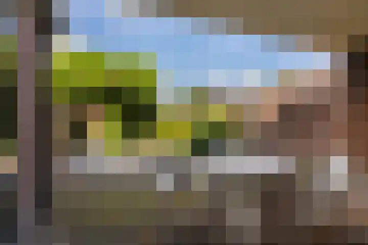 Schras 24 A Ederveen thumbnail 36