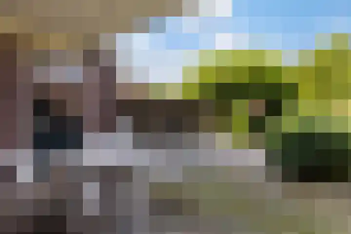 Schras 24 A Ederveen thumbnail 37