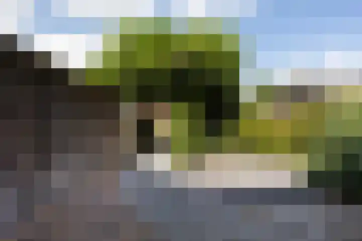 Schras 24 A Ederveen thumbnail 38