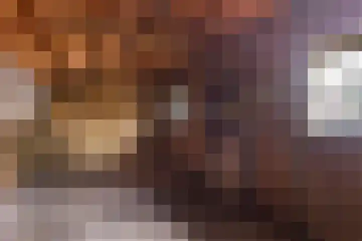 Schras 24 A Ederveen thumbnail 43