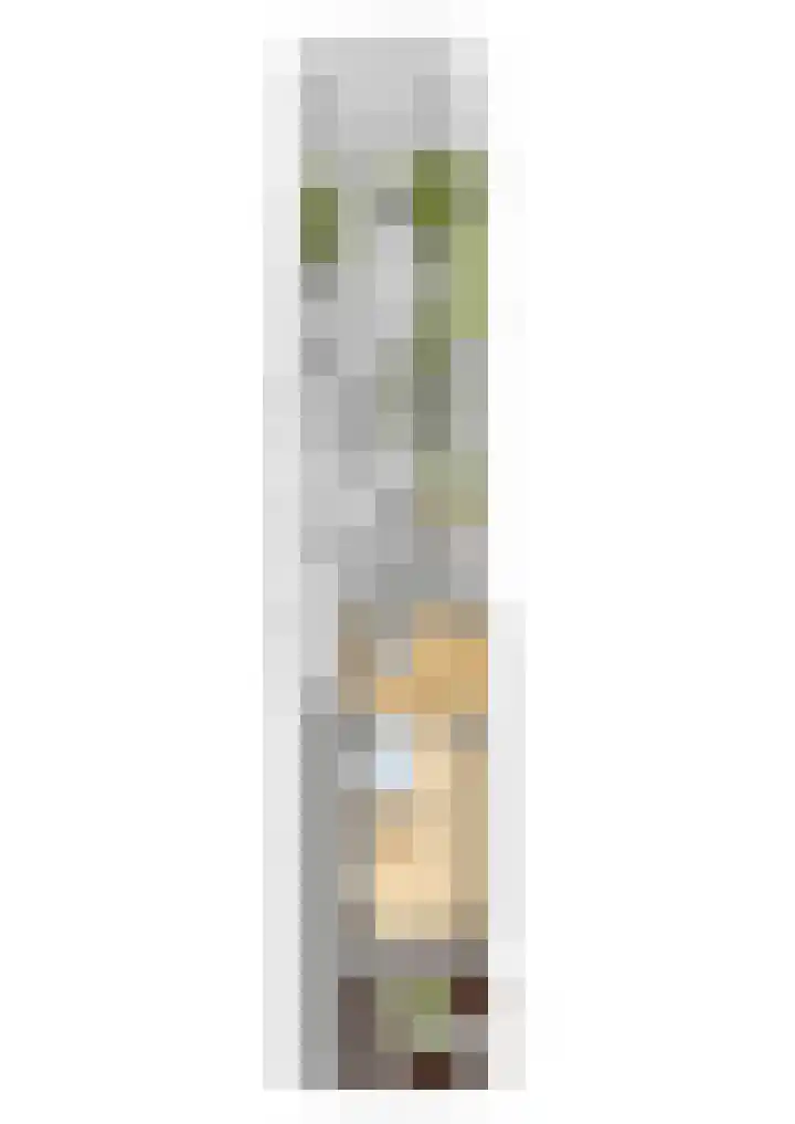 Schras 24 A Ederveen thumbnail 49