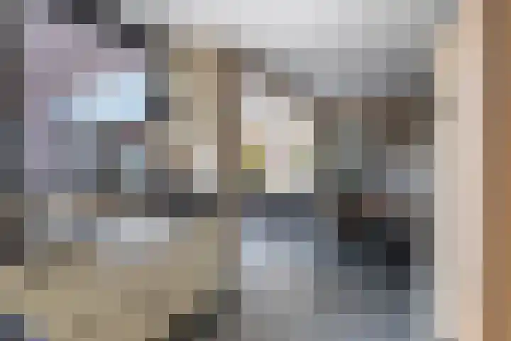 Schras 32 Ederveen thumbnail 13