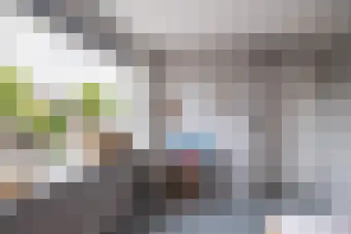 Schras 32 Ederveen thumbnail 21