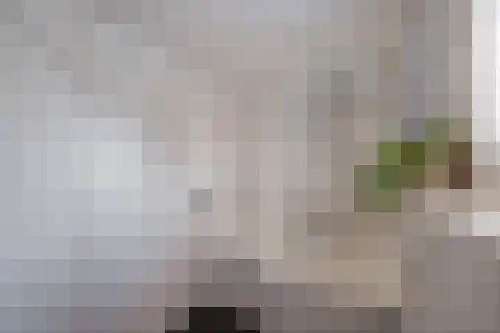 Schras 32 Ederveen thumbnail 25