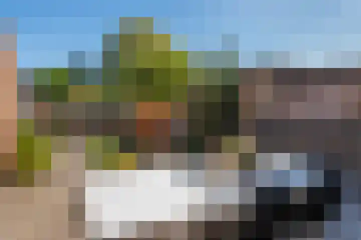 Schras 32 Ederveen thumbnail 30