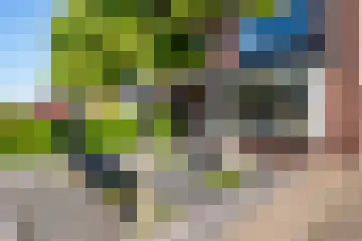 Schras 32 Ederveen thumbnail 33