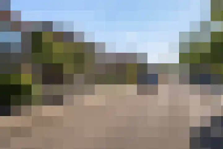 Schras 32 Ederveen thumbnail 35