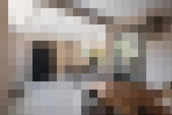 Schras 32 Ederveen thumbnail 7