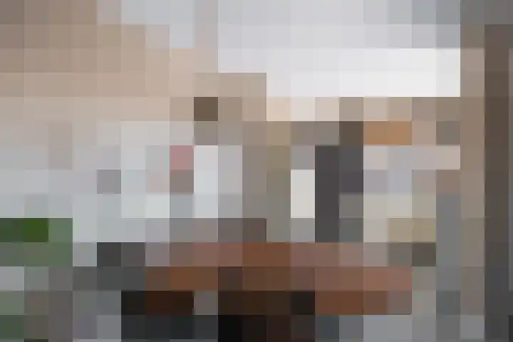 Schras 32 Ederveen thumbnail 9