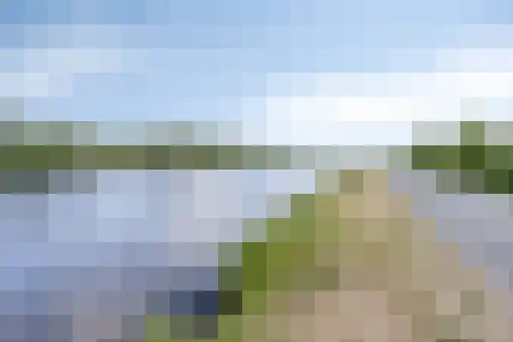 Schrepel 38 's-Hertogenbosch thumbnail 35