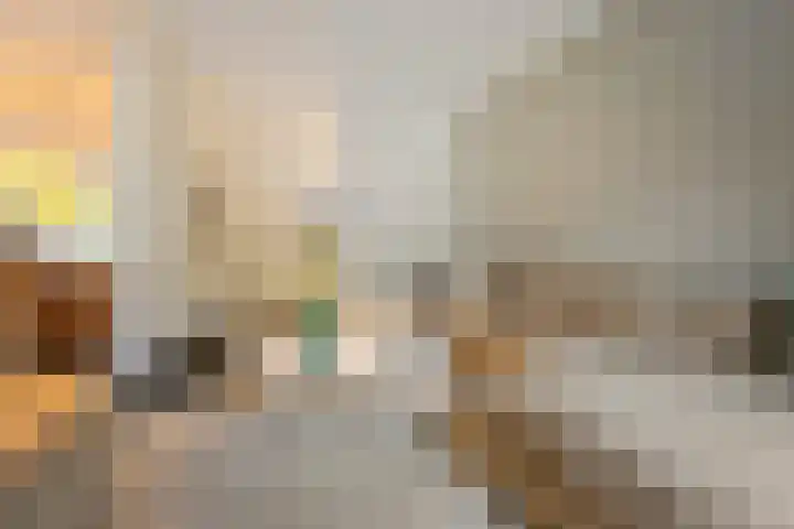 Schrepel 40 's-Hertogenbosch thumbnail 11