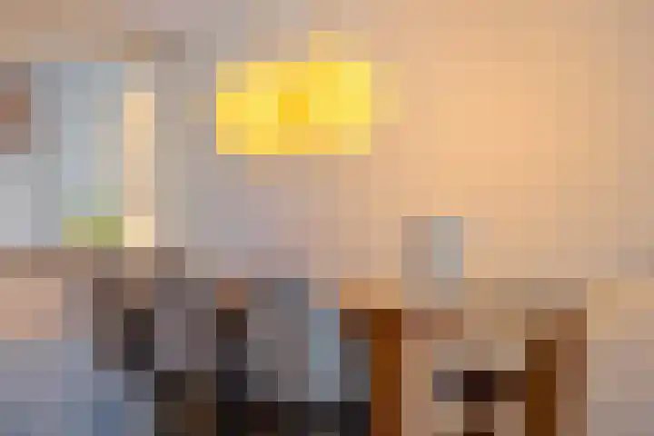 Schrepel 40 's-Hertogenbosch thumbnail 17