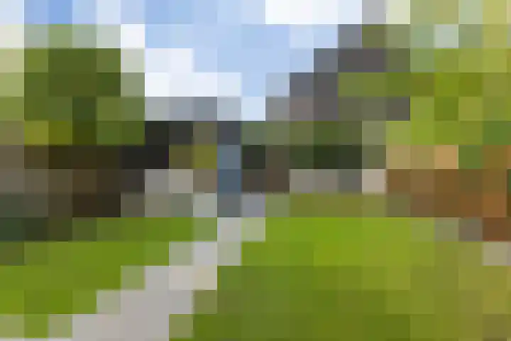 Schrepel 40 's-Hertogenbosch thumbnail 23