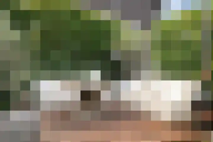 Schrepel 40 's-Hertogenbosch thumbnail 25