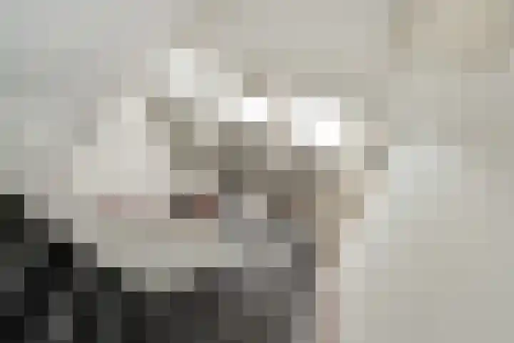 Schrijvertje 1 Deventer thumbnail 13