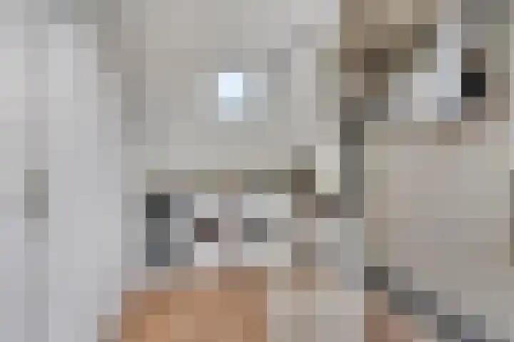 Schrijvertje 1 Deventer thumbnail 24
