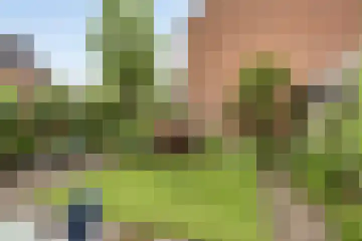 Schrijvertje 1 Deventer thumbnail 27