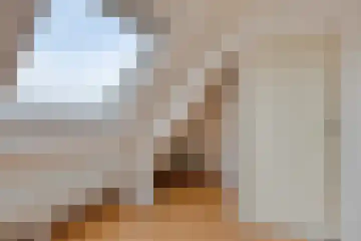 Schrijvertje 3 Deventer thumbnail 28