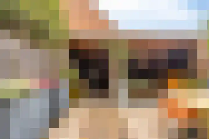 Schrijvertje 3 Deventer thumbnail 4