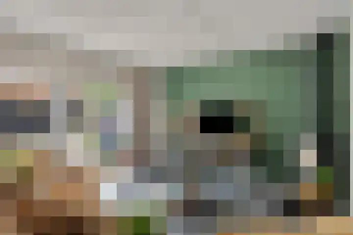 Schrijvertje 3 Deventer thumbnail 9