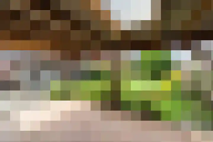 Schriksestraat 41 Afferden thumbnail 20