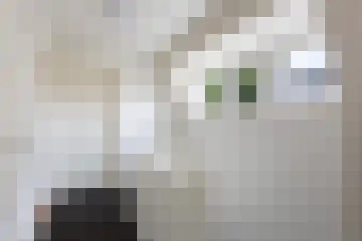Schrikslaan 62 Soest thumbnail 14