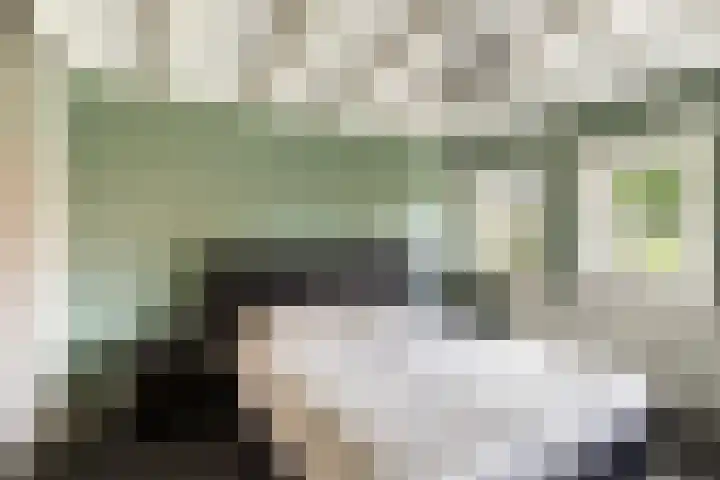 Schrikslaan 62 Soest thumbnail 18