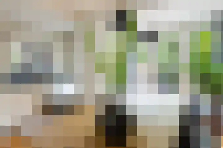 Schrikslaan 62 Soest thumbnail 8
