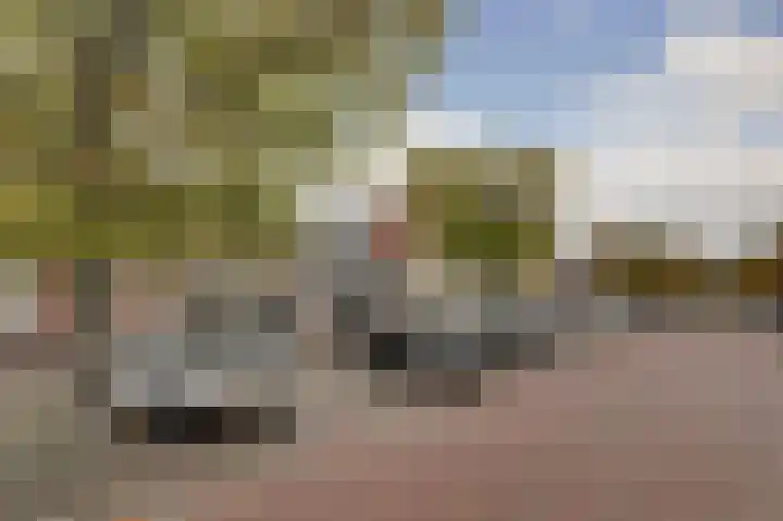 Schritsen 17 Harlingen thumbnail 23
