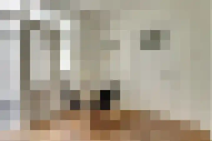 Schritsen 17 Harlingen thumbnail 9