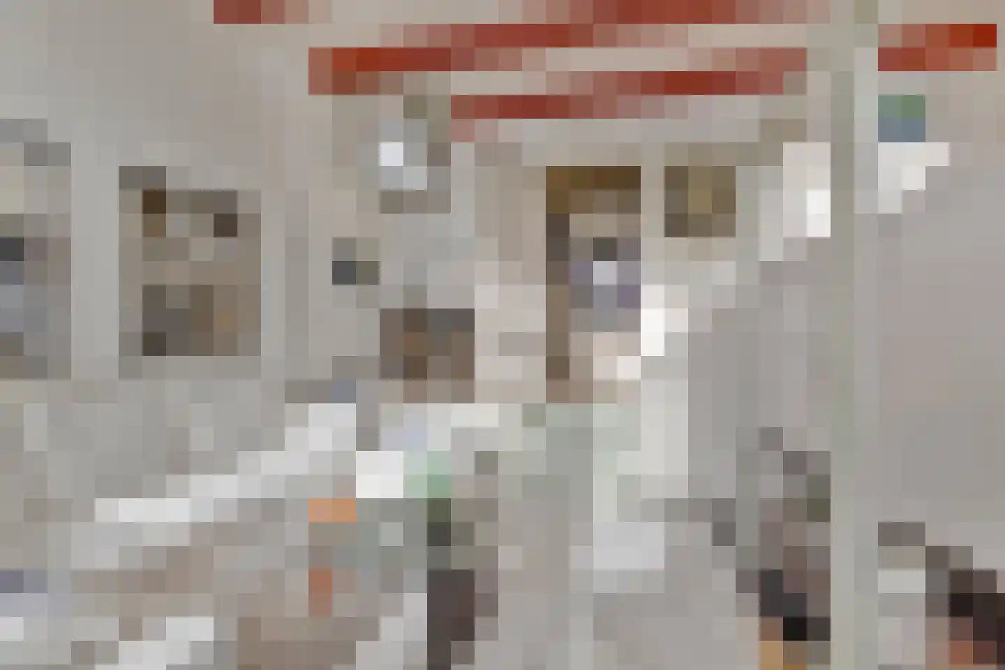 Schritsen 39 Harlingen thumbnail 4