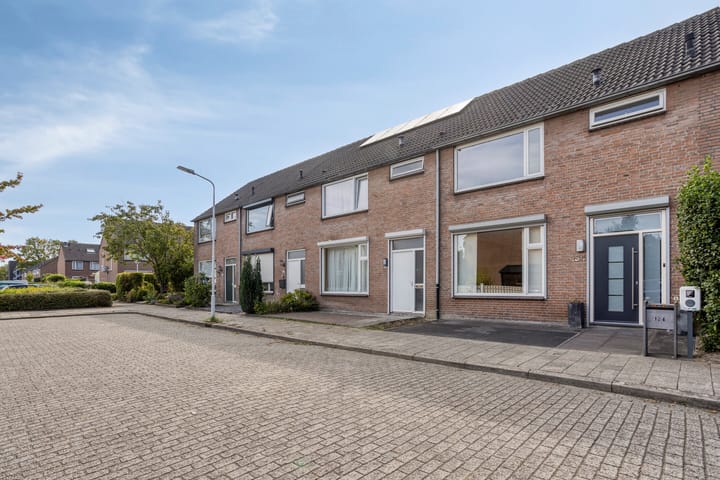 Schuberthof 134 in Terneuzen foto