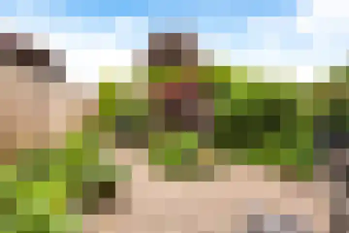 Schubertkade 24 Alkmaar thumbnail 4