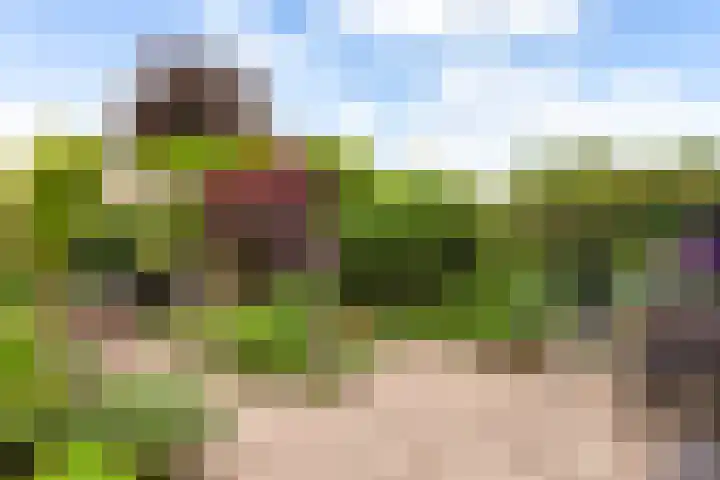 Schubertkade 24 Alkmaar thumbnail 40