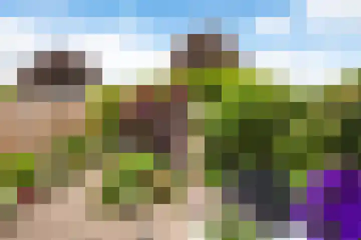 Schubertkade 24 Alkmaar thumbnail 41