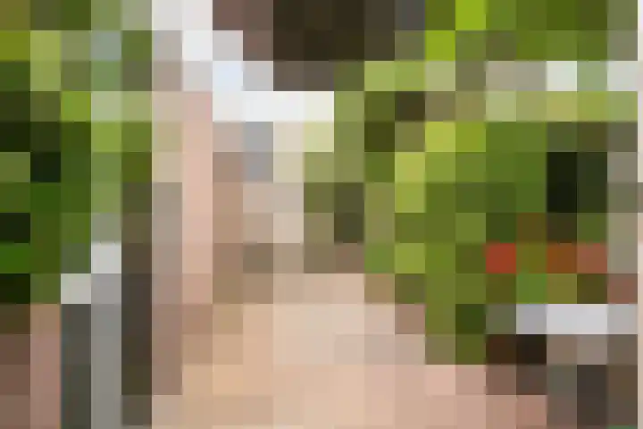 Schubertkade 24 Alkmaar thumbnail 43