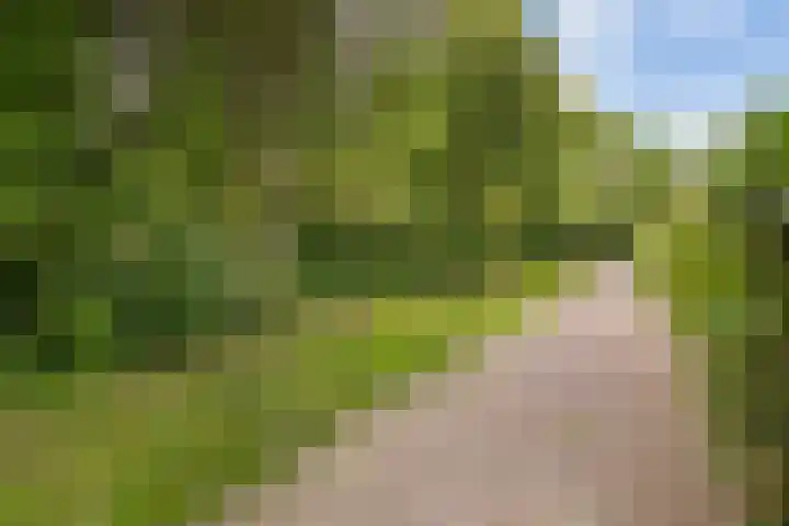 Schubertkade 24 Alkmaar thumbnail 7